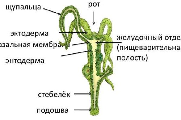 Кракен гидра сайт