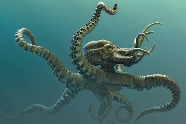 Kraken новые ссылки